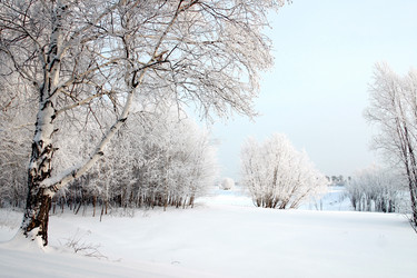 Similar image 156619