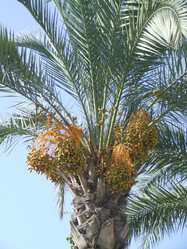 Similar image 156622