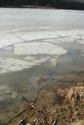 Similar image 156624