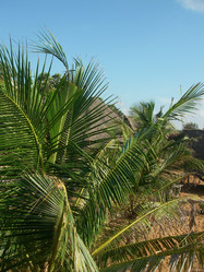 Similar image 156626