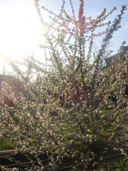 Similar image 156628