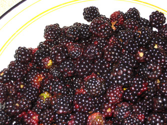 Similar image 156640