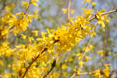 Similar image 156645