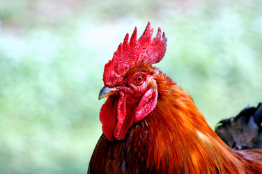 Similar image 156648