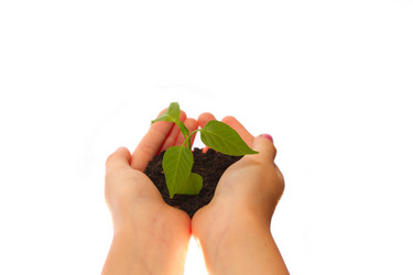 Similar image 156651