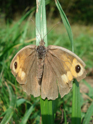 Similar image 156658