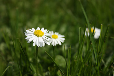 Similar image 156682