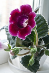 Similar image 156695