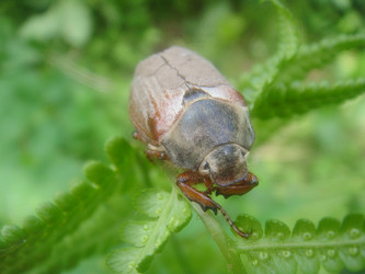 Similar image 156707