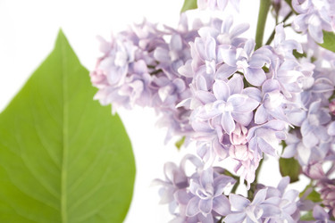 Similar image 156710