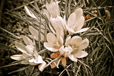 Similar image 156721