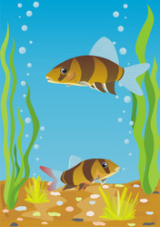 Similar image 156742