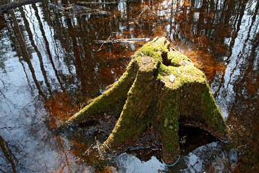 Similar image 156747