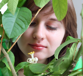 Similar image 156792