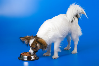 Similar image 156806