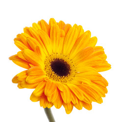 Similar image 156823