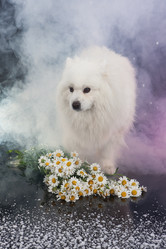 Similar image 156831