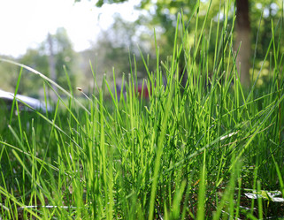 Similar image 156850