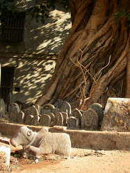 Similar image 156860