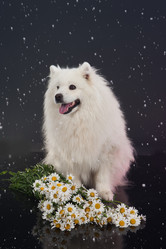 Similar image 156863