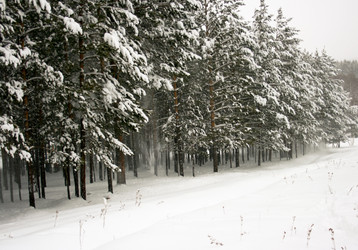 Similar image 156872