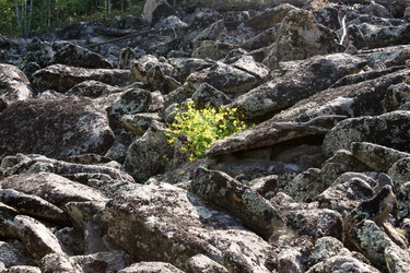 Similar image 156873