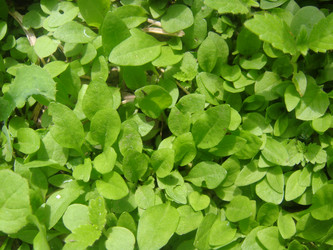 Similar image 156874