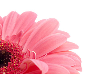 Similar image 156877