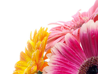 Similar image 156878