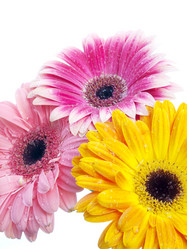 Similar image 156885