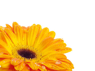 Similar image 156886