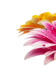 Similar image 156888