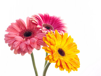 Similar image 156933