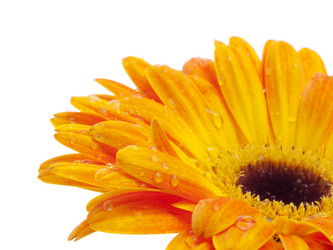 Similar image 156934