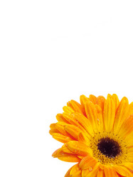 Similar image 156935