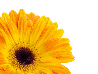 Similar image 156936