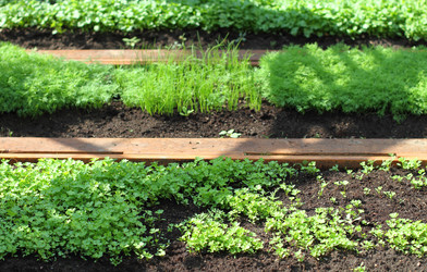 Similar image 157008