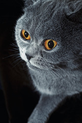 Similar image 157013