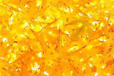 Similar image 157015