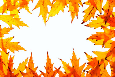 Similar image 157018