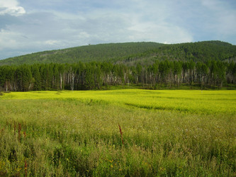 Similar image 157024