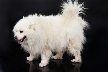 Similar image 157027