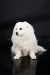 Similar image 157028