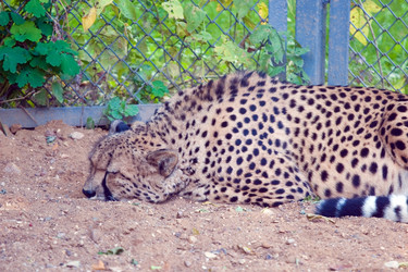 Similar image 157030