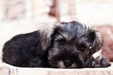 Similar image 157035