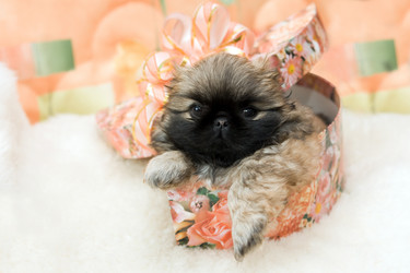 Similar image 157038