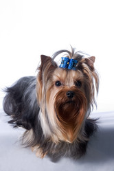 Similar image 157044