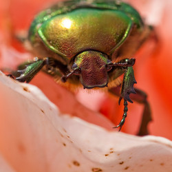 Similar image 157076