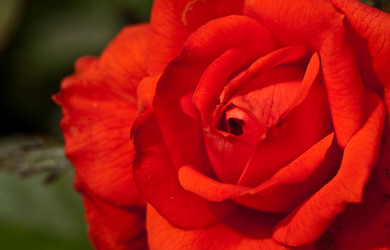 Similar image 157081