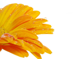 Similar image 157084